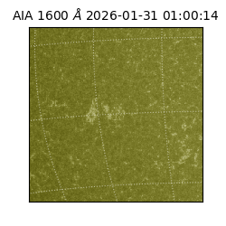 saia - 2026-01-31T01:00:14.125000