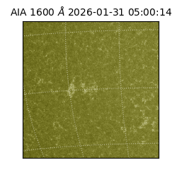 saia - 2026-01-31T05:00:14.126000