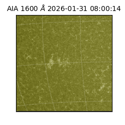 saia - 2026-01-31T08:00:14.126000