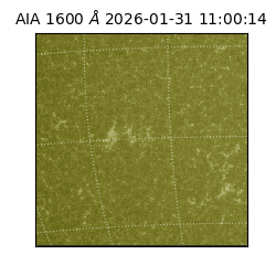 saia - 2026-01-31T11:00:14.126000