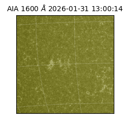 saia - 2026-01-31T13:00:14.126000