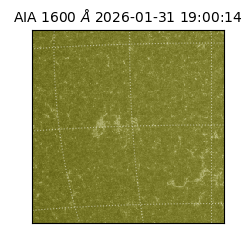 saia - 2026-01-31T19:00:14.126000