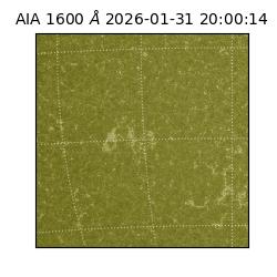 saia - 2026-01-31T20:00:14.129000