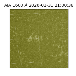 saia - 2026-01-31T21:00:38.129000