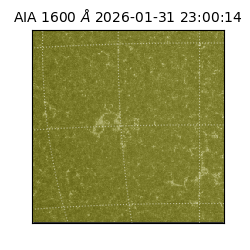 saia - 2026-01-31T23:00:14.126000