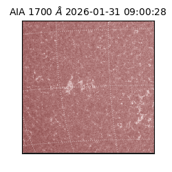 saia - 2026-01-31T09:00:28.717000