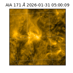 saia - 2026-01-31T05:00:09.350000