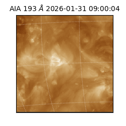 saia - 2026-01-31T09:00:04.843000