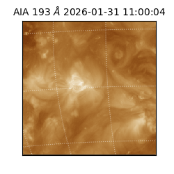 saia - 2026-01-31T11:00:04.843000