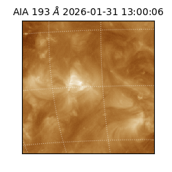 saia - 2026-01-31T13:00:06.937000