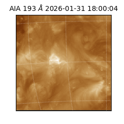 saia - 2026-01-31T18:00:04.843000