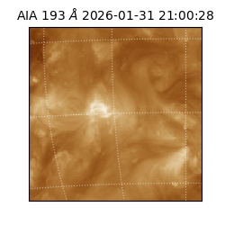 saia - 2026-01-31T21:00:28.843000