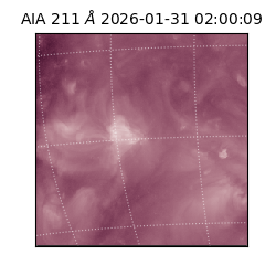 saia - 2026-01-31T02:00:09.626000