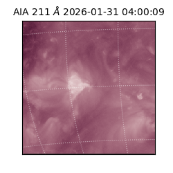 saia - 2026-01-31T04:00:09.626000