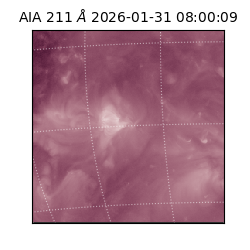 saia - 2026-01-31T08:00:09.626000