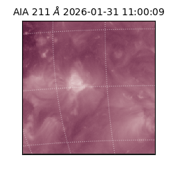 saia - 2026-01-31T11:00:09.626000