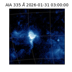 saia - 2026-01-31T03:00:00.625000