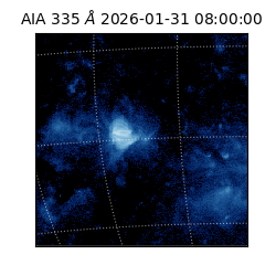 saia - 2026-01-31T08:00:00.625000