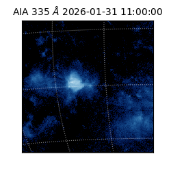 saia - 2026-01-31T11:00:00.633000