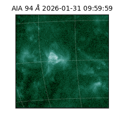 saia - 2026-01-31T09:59:59.122000