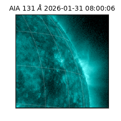 saia - 2026-01-31T08:00:06.622000