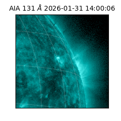 saia - 2026-01-31T14:00:06.622000