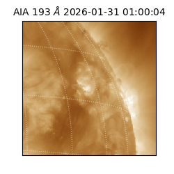 saia - 2026-01-31T01:00:04.846000