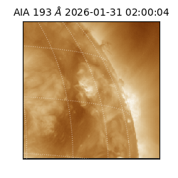 saia - 2026-01-31T02:00:04.846000