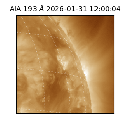 saia - 2026-01-31T12:00:04.843000