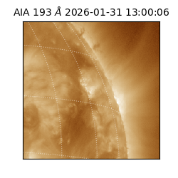 saia - 2026-01-31T13:00:06.937000