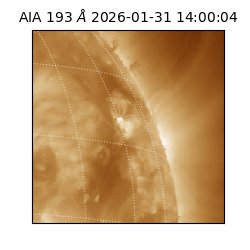 saia - 2026-01-31T14:00:04.843000