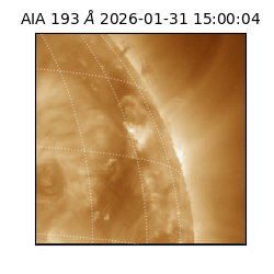 saia - 2026-01-31T15:00:04.843000