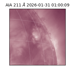 saia - 2026-01-31T01:00:09.629000