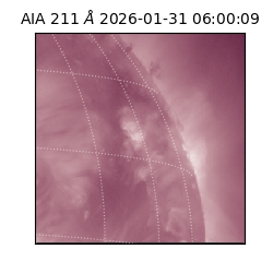 saia - 2026-01-31T06:00:09.633000