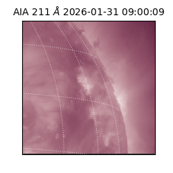 saia - 2026-01-31T09:00:09.626000