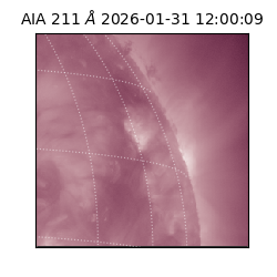 saia - 2026-01-31T12:00:09.626000