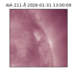 saia - 2026-01-31T13:00:09.623000