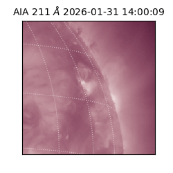 saia - 2026-01-31T14:00:09.626000