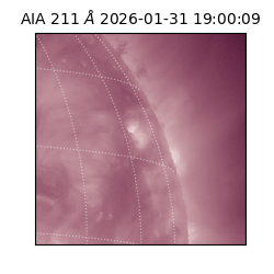 saia - 2026-01-31T19:00:09.626000