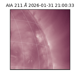 saia - 2026-01-31T21:00:33.629000