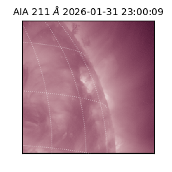 saia - 2026-01-31T23:00:09.630000