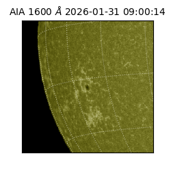 saia - 2026-01-31T09:00:14.125000