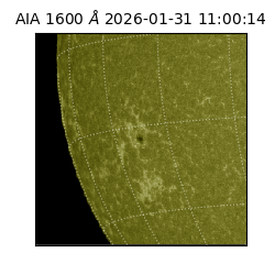 saia - 2026-01-31T11:00:14.126000