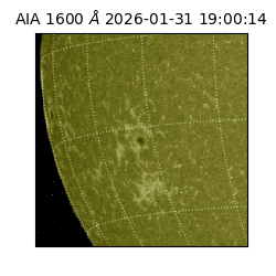 saia - 2026-01-31T19:00:14.126000