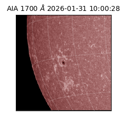 saia - 2026-01-31T10:00:28.717000