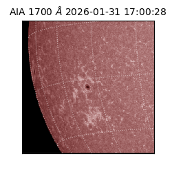 saia - 2026-01-31T17:00:28.717000