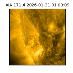 saia - 2026-01-31T01:00:09.349000