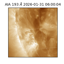 saia - 2026-01-31T06:00:04.843000