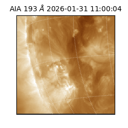 saia - 2026-01-31T11:00:04.843000