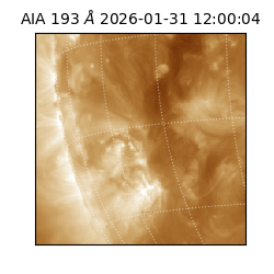 saia - 2026-01-31T12:00:04.843000